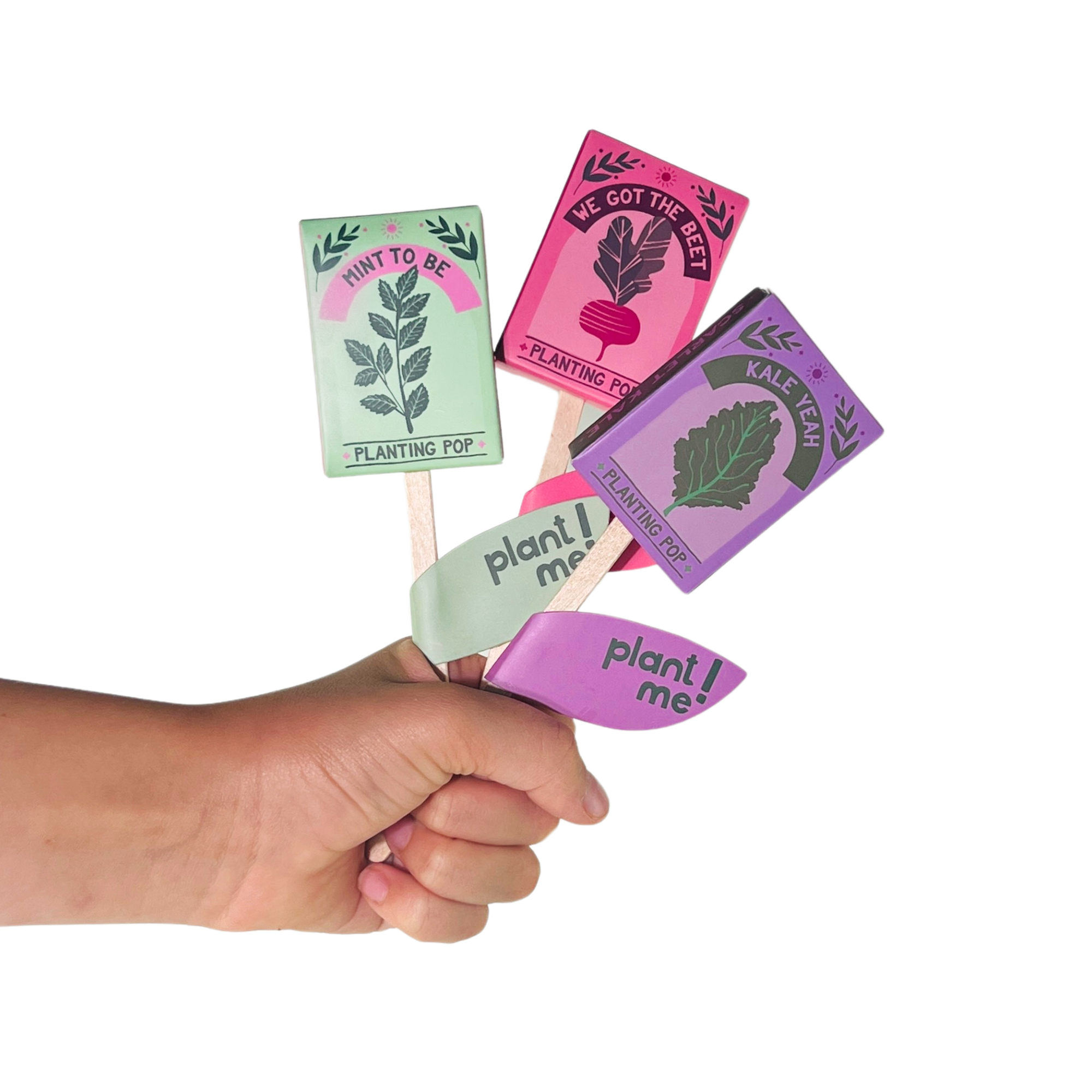 Sow the Magic - Wholesale Plant Seeds - Garden + Gift Seed Planting Pop Collection With Stand 2