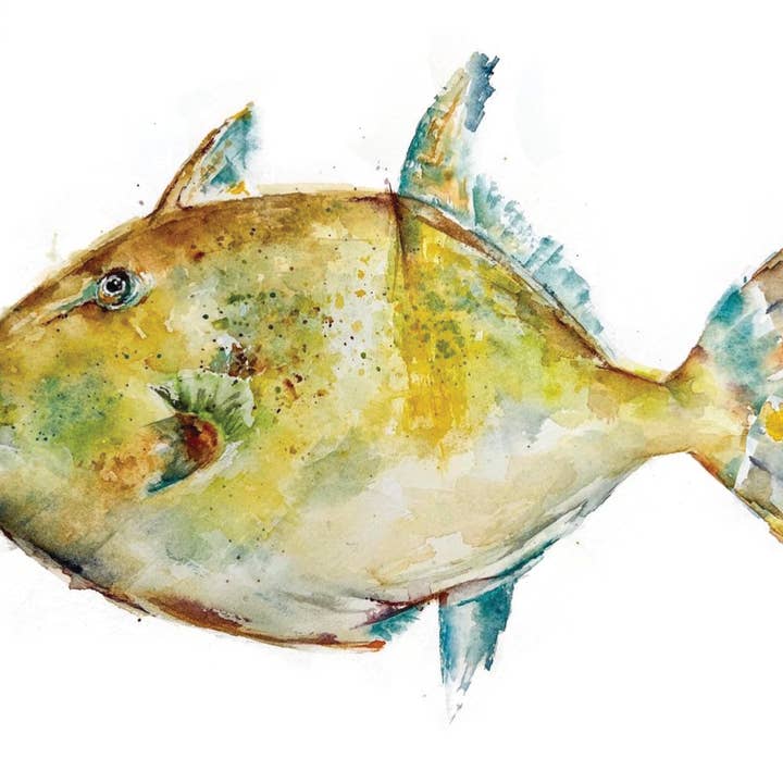 Wall Art Fish Print 2 for wholesale by Symphony Portrait, LLC