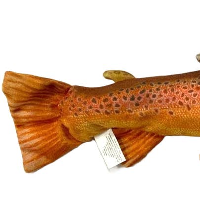 Bachforelle für den Großhandel von FishTargets