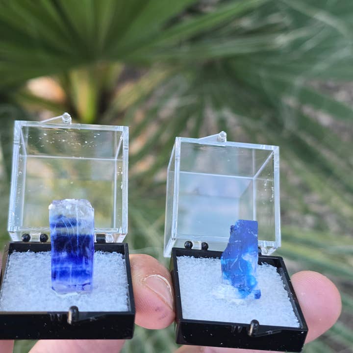 Blauwe Haliet Perky ~ Ruwe Kristallen ~ Mineraal Exemplaren voor wholesale door Aquamarine Daydream Wholesale