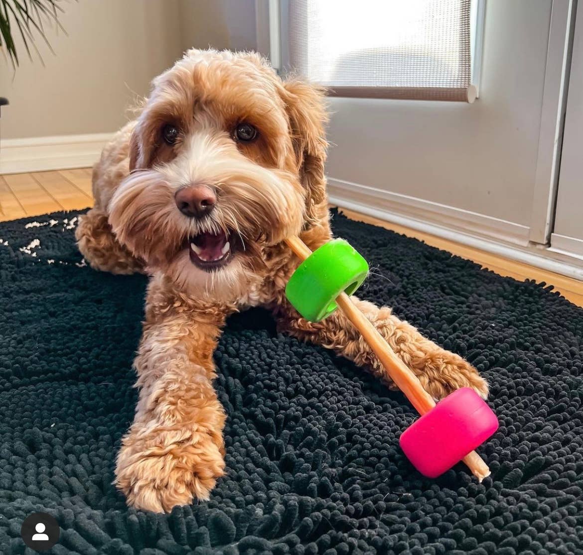 Bully Grip - Wholesale Pet Chew Toy - Dog - BullyGrip Classic Small4