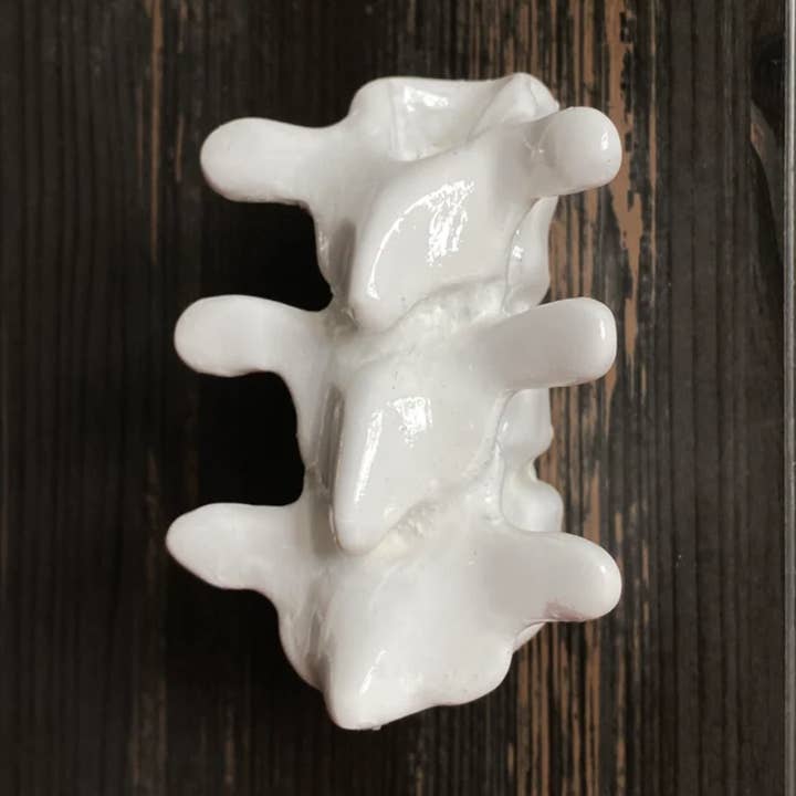 Spine Cabinet Wardrobe Door Knobs, Skeleton Furniture Knobs for wholesale by G7T6