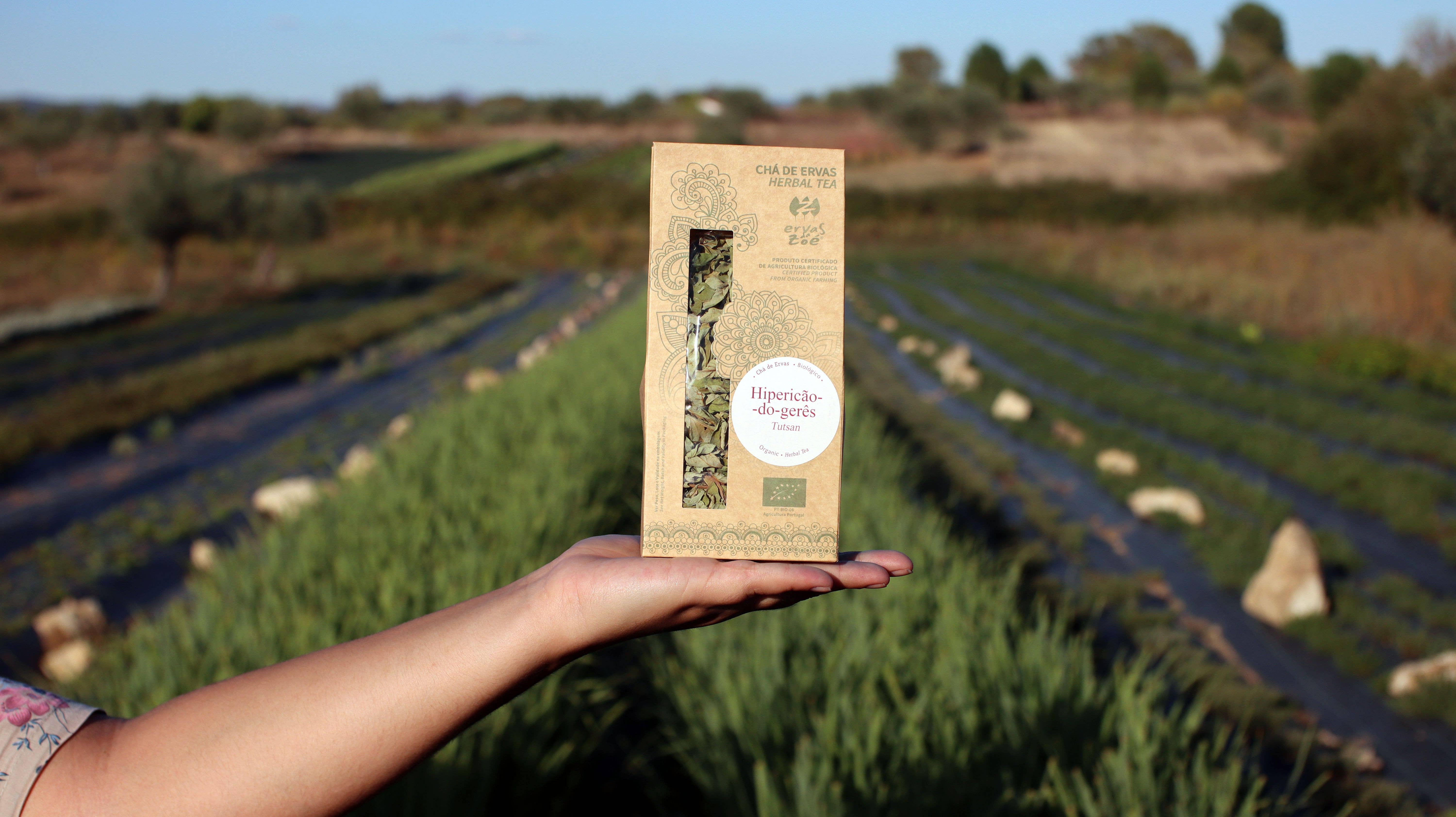 Ervas da Zoé - Wholesale Health/Detox Tea - 31. Herbal tea “St. John's wort of Gerês” Bio 35g