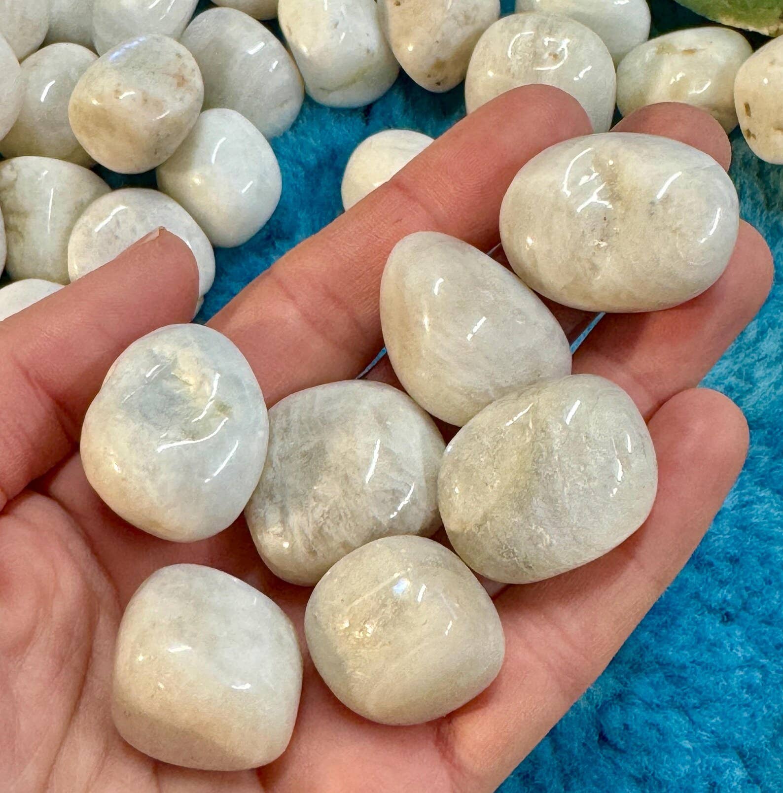 Elf Kendal Hippies - Venta al por mayor Piedras/cristales espirituales - Piedra lunar blanca 15-25mm piedra lunar pulida 0.6-1 pulgada elfo1