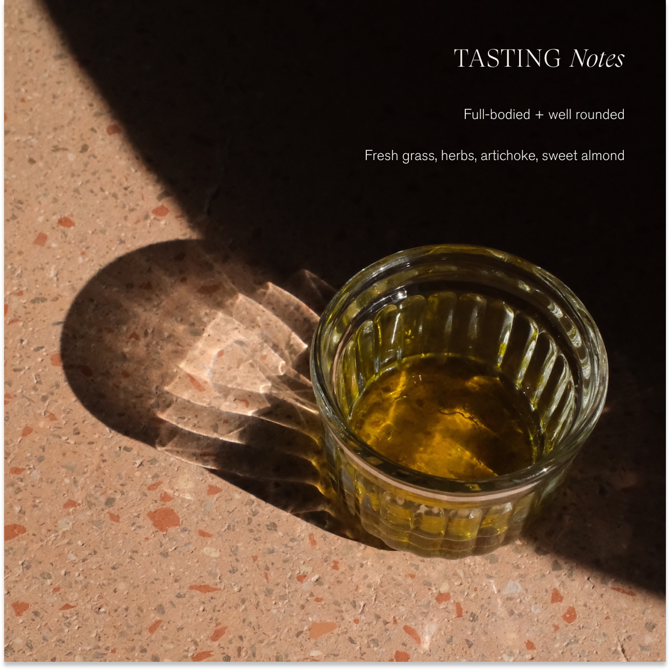 Le Marké - Wholesale Olive Oil - Organic Extra Virgin Olive Oil | Single-Harvest / Case2