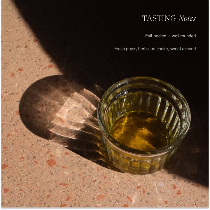 Le Marké - Wholesale Olive Oil - Organic Extra Virgin Olive Oil | Single-Harvest / Case2