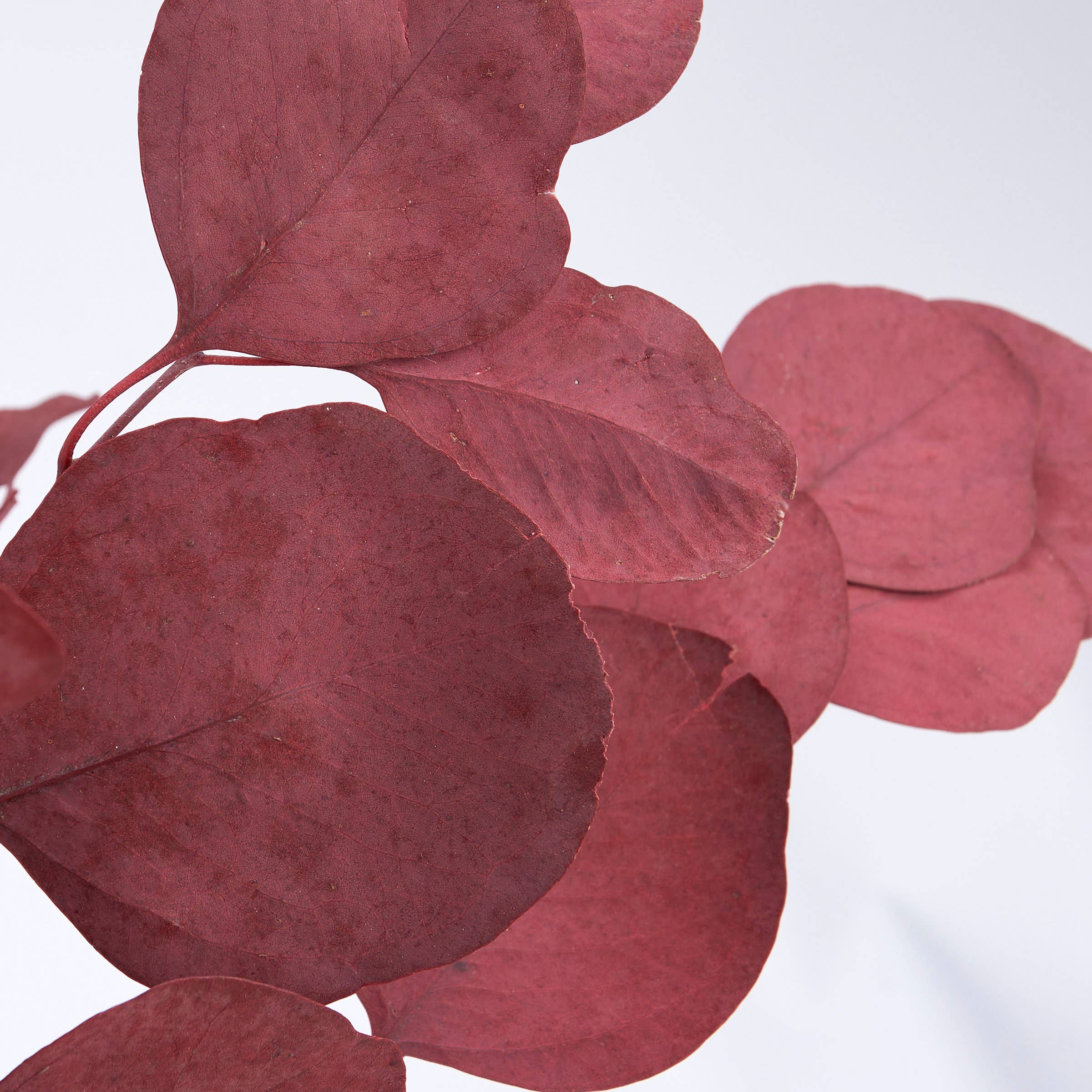 Primitives by Kathy - Wholesale Artificial Flowers - Red Silver Dollar Bouquet2