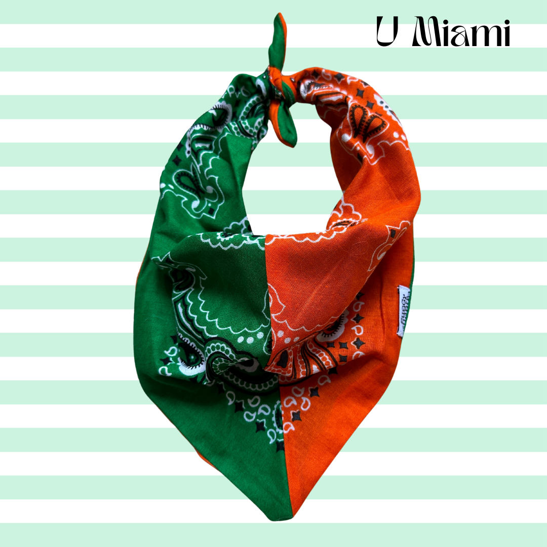 Sugar Cilantro - Wholesale Bandana - Women's - Handmade Custom Colorblocked Gameday Bandana11