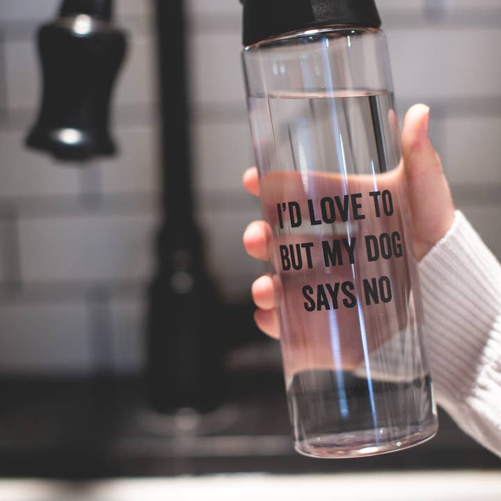 SNARK CITY - Wholesale Water Bottle - Talking To My Cat Today Water Bottle4