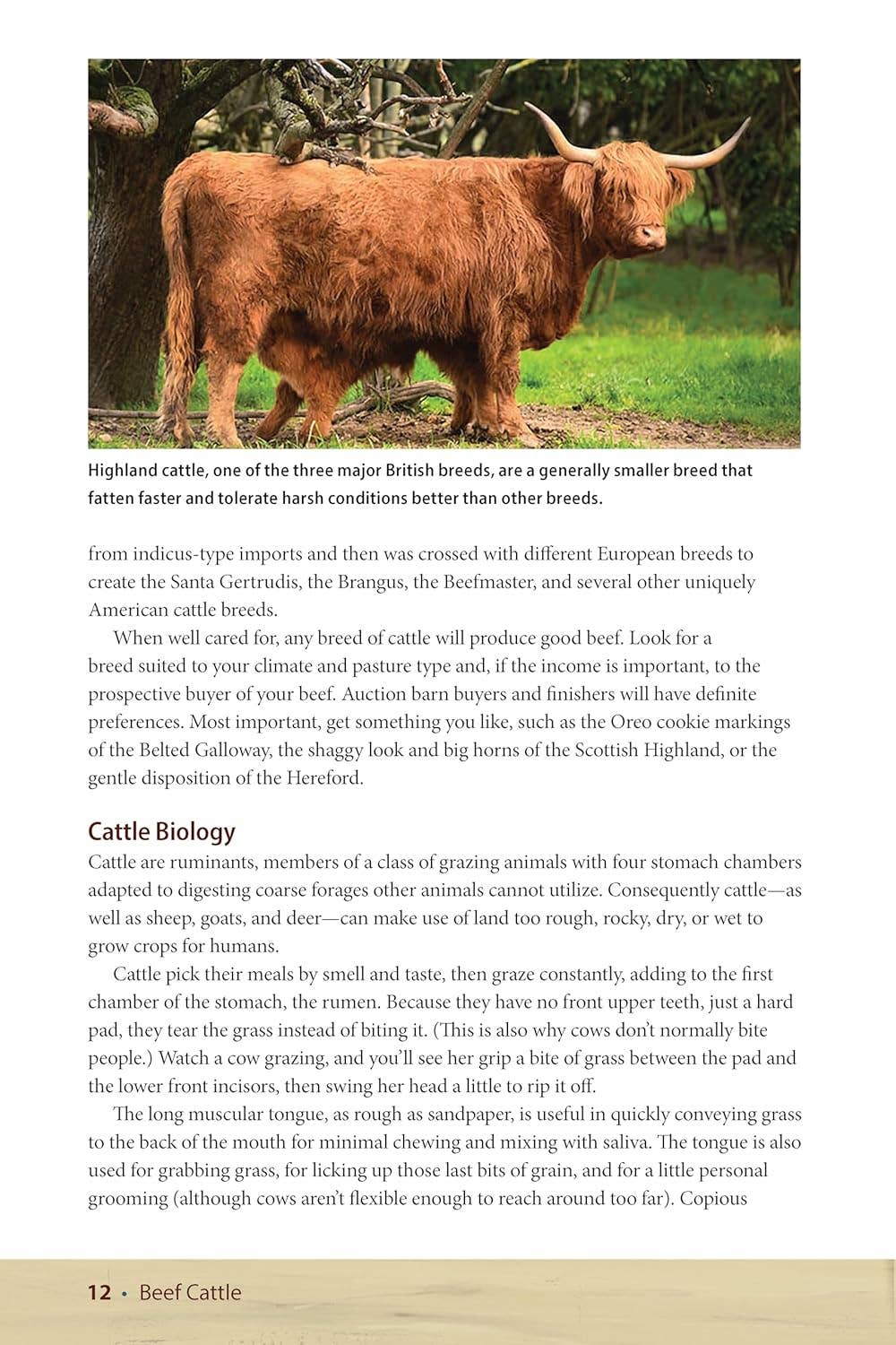 Fox Chapel Publishing - Vente Maison et jardin - Bovins de boucherie, 2e éd. - Guide pour maintenir un troupeau à petite échelle4