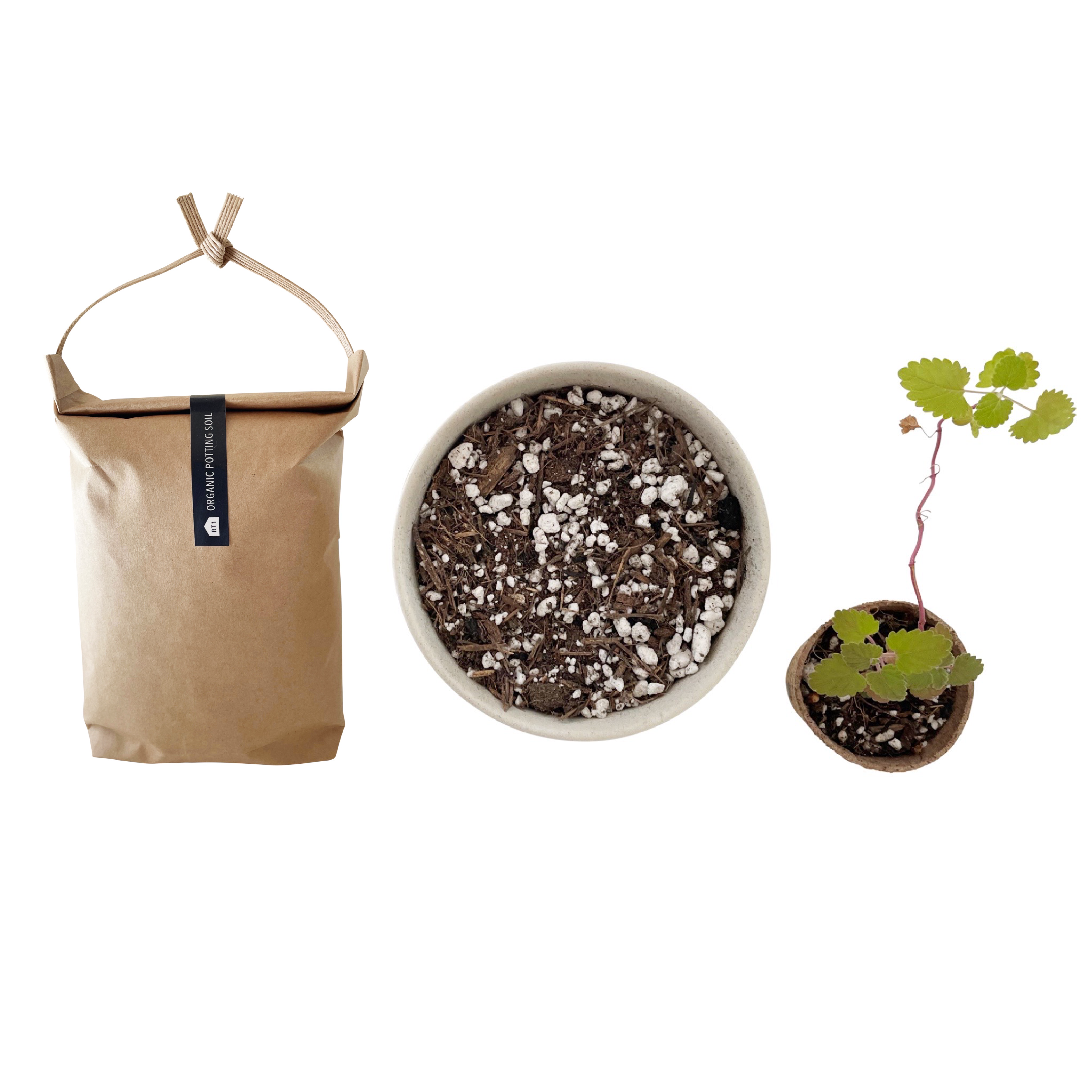 RT1home - Wholesale Planting/Potting Soil - KOMEBUKURO POTTING SOIL7
