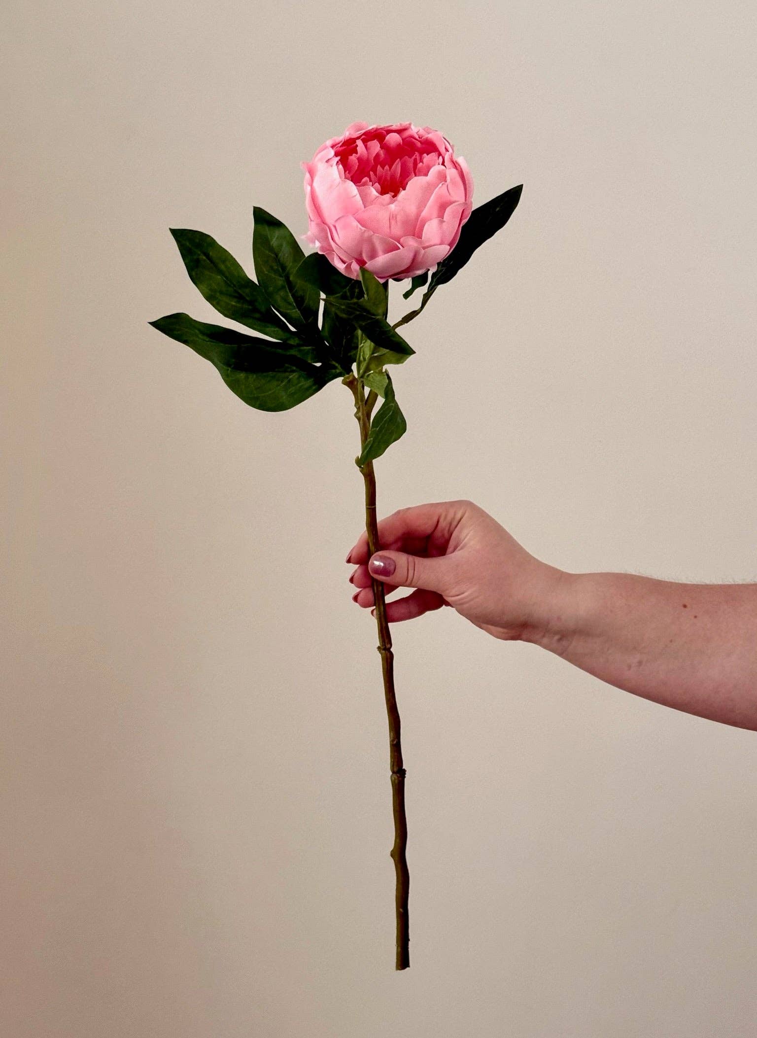 Eucalypt Co. - Wholesale Artificial Flowers - Real Touch Garden Peony3