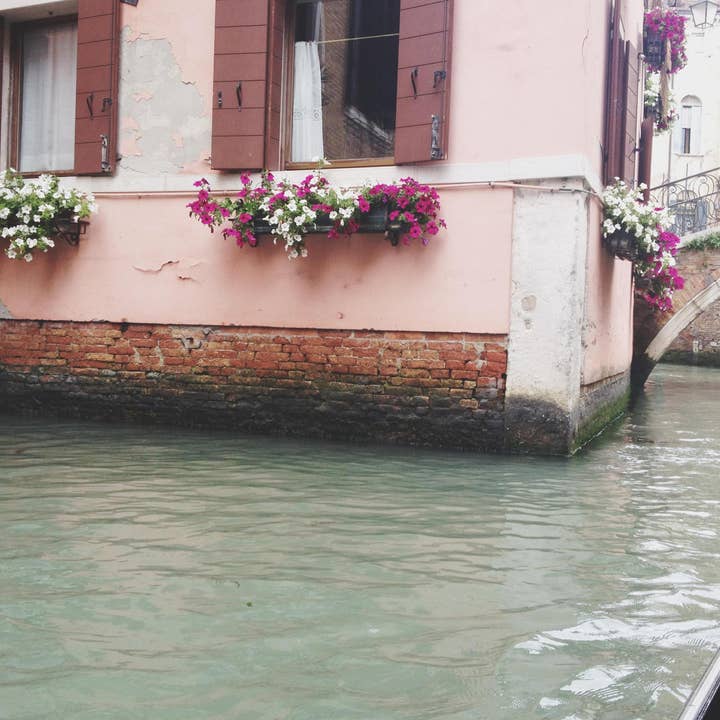 Boîtes à fleurs//Venise pour la vente par Alison Holcomb Creative