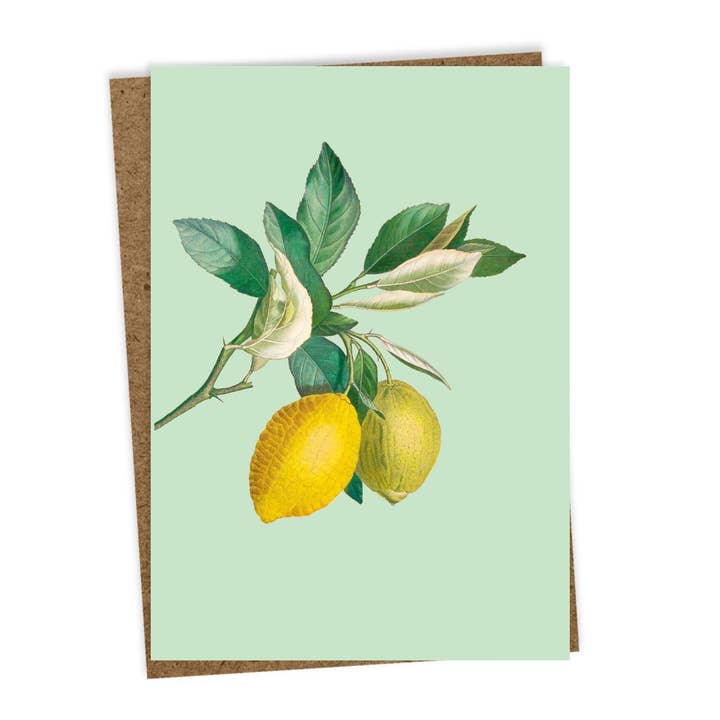 30x40 - Wholesale Everyday Greeting Card - Hangover Greeting Card