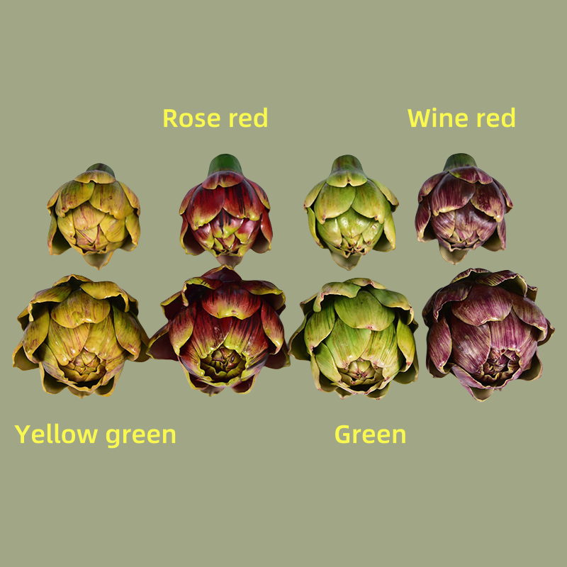 ACNITE(We cover U.S. import duties) - Wholesale Artificial Flowers - Artificial  Largesucculent Fall decor Fake Bromeliad head4