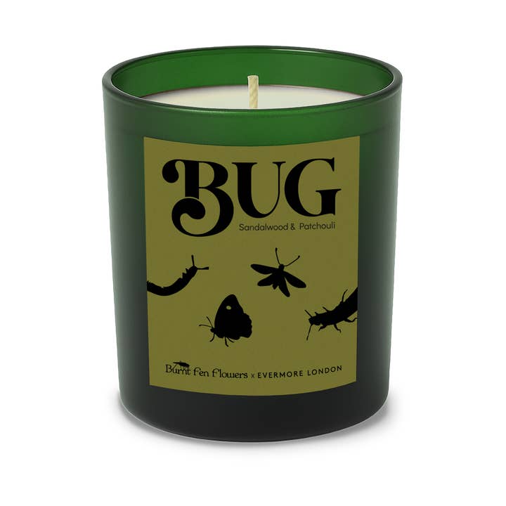 Burnt Fen x Evermore Bug candle for wholesale by Evermore London