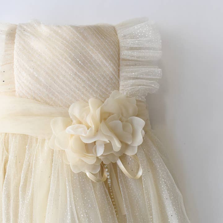 JuniorKids - Wholesale Dress - Baby - Sweet Sophia Baby Dress4