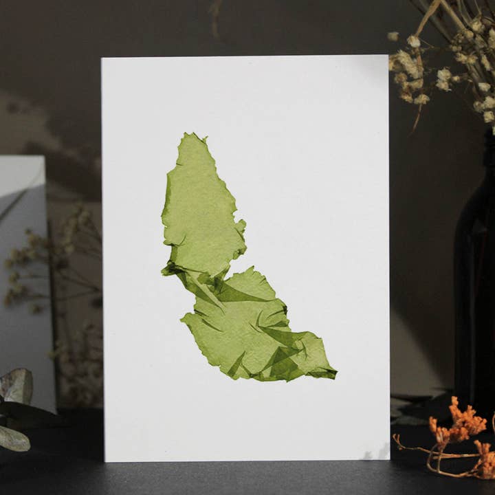 Grußkarte A6 mit Meersalat-Algenmotiv für den Großhandel von Studio Wotton