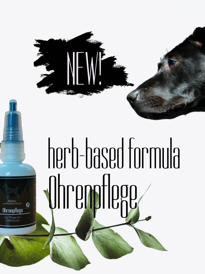 ear care for wholesale by Prometheus Nutrition