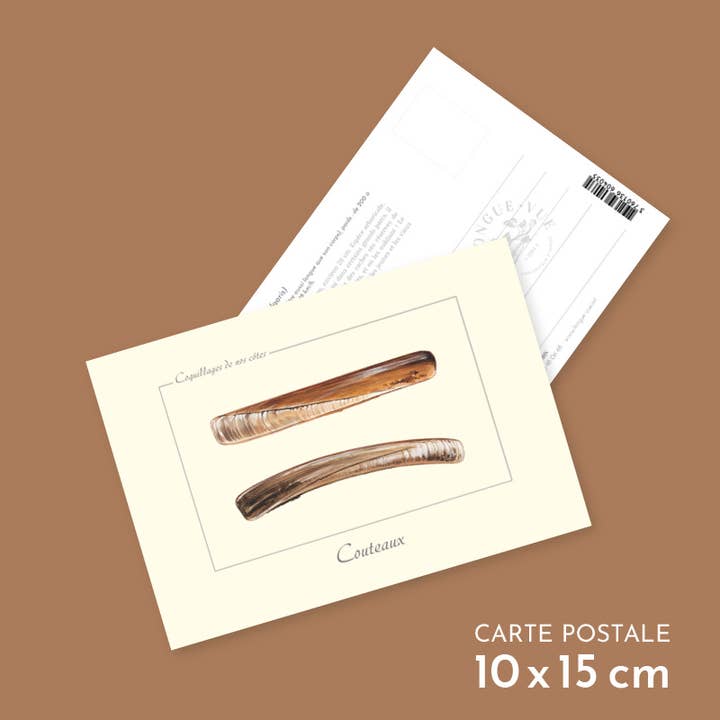 Coltelli - Cartolina per la vendita all'ingrosso da parte di Longue-vue