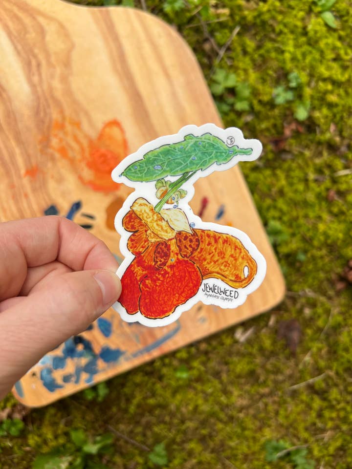 Jewelweed – botanisk vildblomma i akvarell, klistermärke för wholesale av Designs by Tris