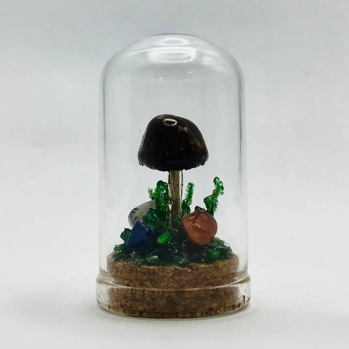 Real Mushroom Curiosity Jar Fungi Oddity Decor 1.75" # 645 for wholesale by Fungus Farm LLC