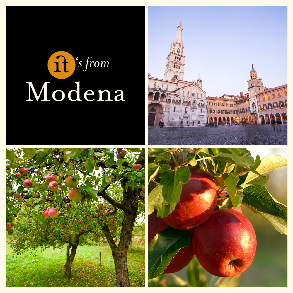 Gourm.it - Wholesale Fruit Juice - Organic Apple Nectar 200ml. Sweet and natural. Emilia-Romagna.2