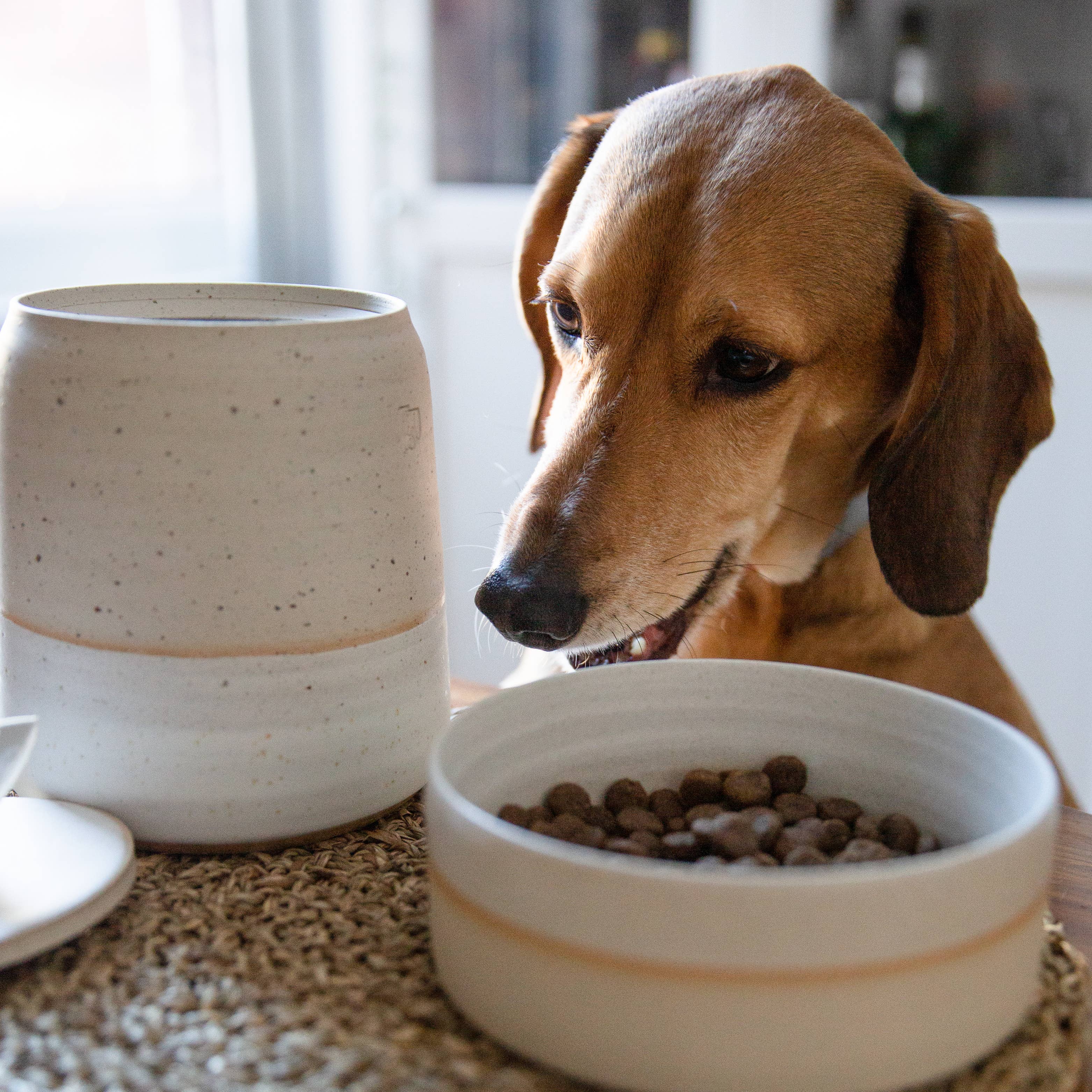 White ceramic Dog Food Bowl for wholesale on Faire5