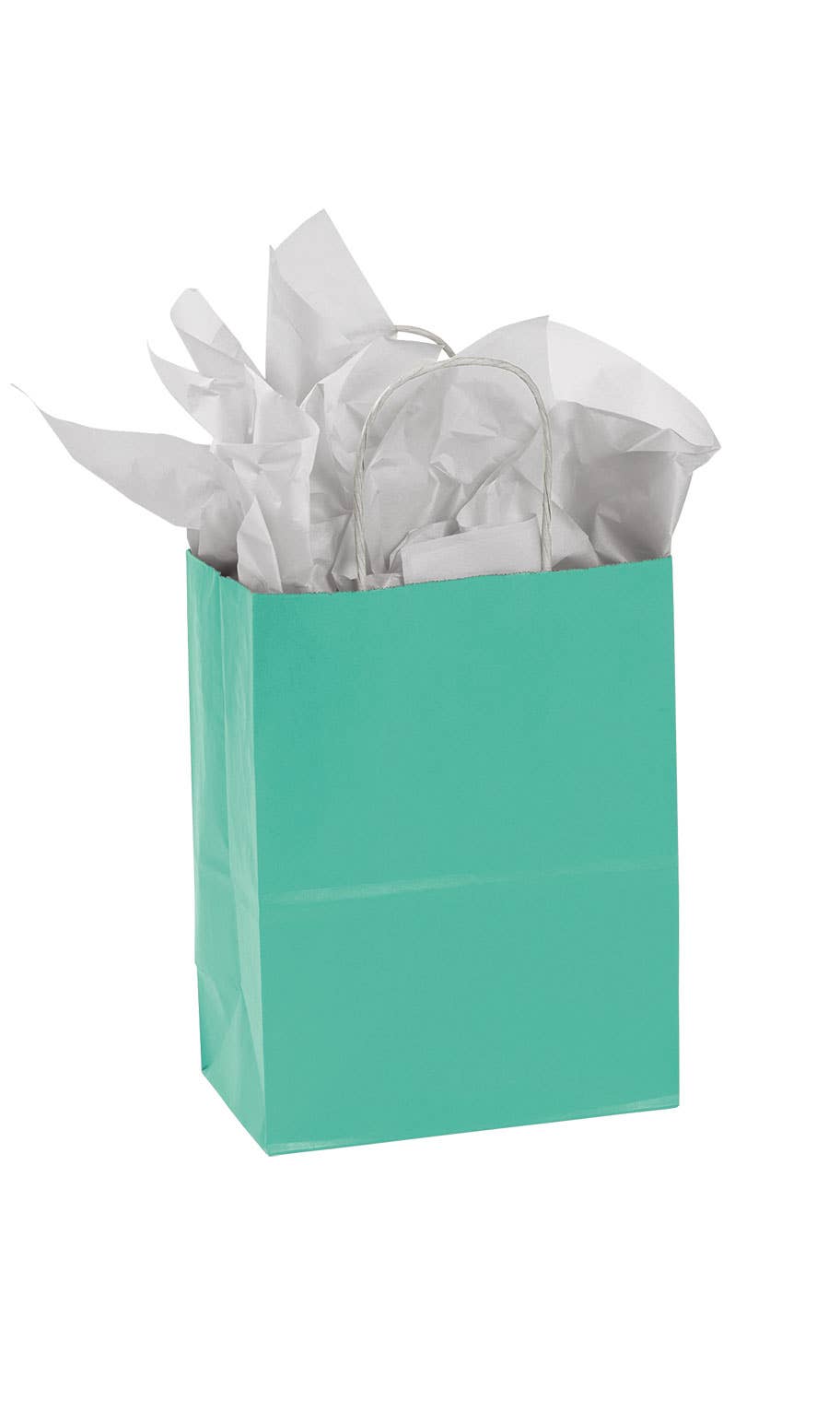 Store Supply Warehouse - Wholesale Gift Bag - Colorful Kraft Paper Shopping Bags10