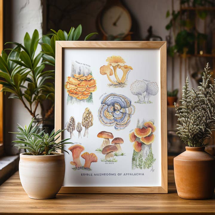 Mushrooms of Appalachia Art Print for wholesale by MARISAMADE