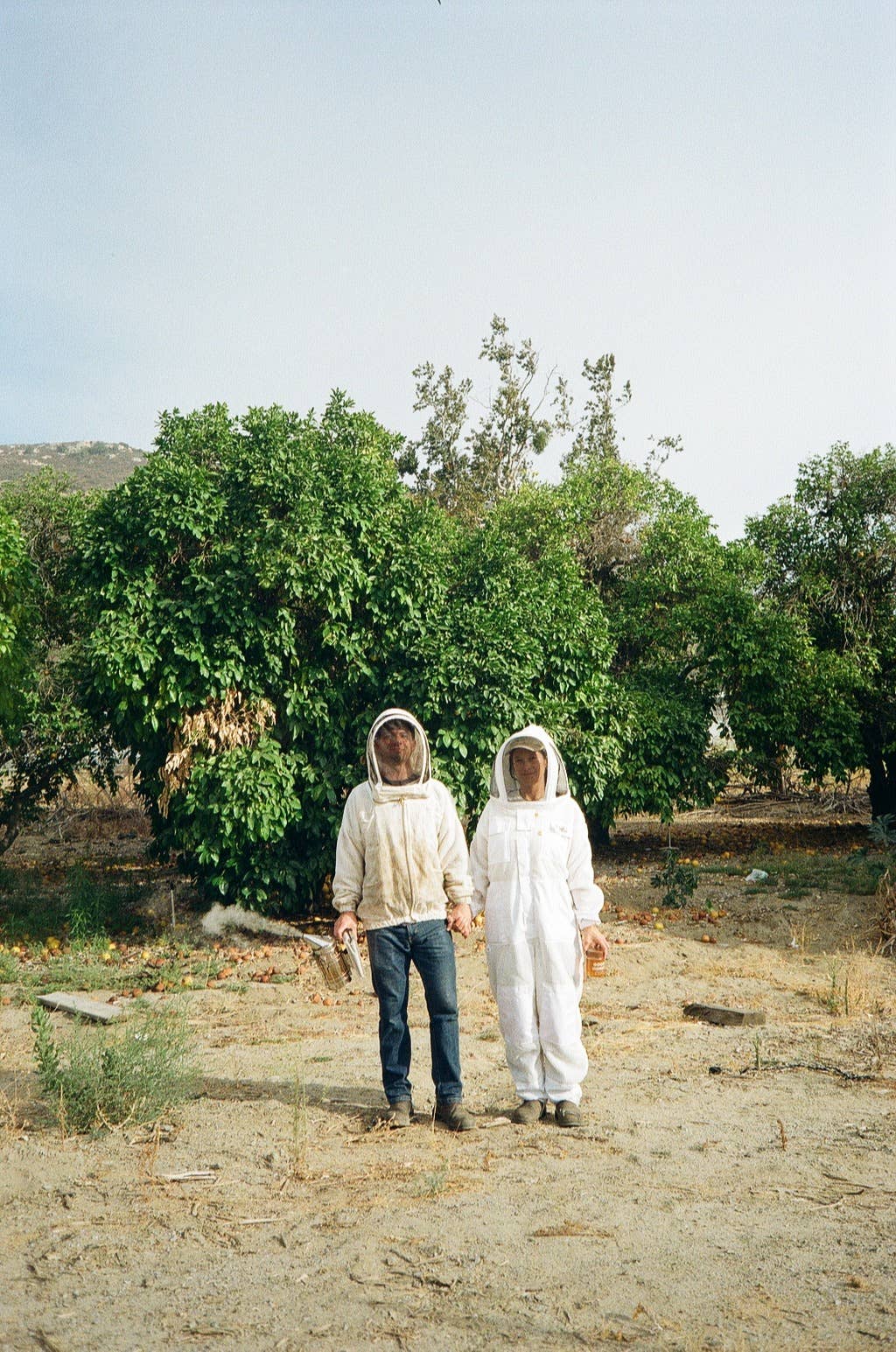 Good Honey - Wholesale Honey - 16oz Montana Clover Retail Jars - Case of 126