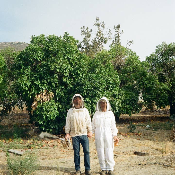 Good Honey - Wholesale Honey - 16oz Montana Clover Retail Jars - Case of 126