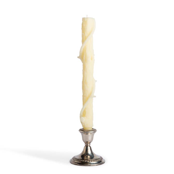 Stick Candles - Wholesale Tapered Candle/Candlestick - Bittersweet Oak Colossal Taper ~ "The Vine" / Single
