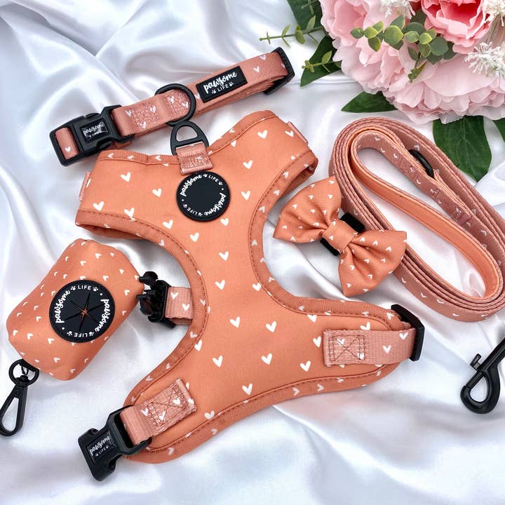 Pawsome Life - Wholesale Pet Leash - Dog - Dog Lead, Cute Dog Leash Padded, Puppy Lead and Collar Orange4