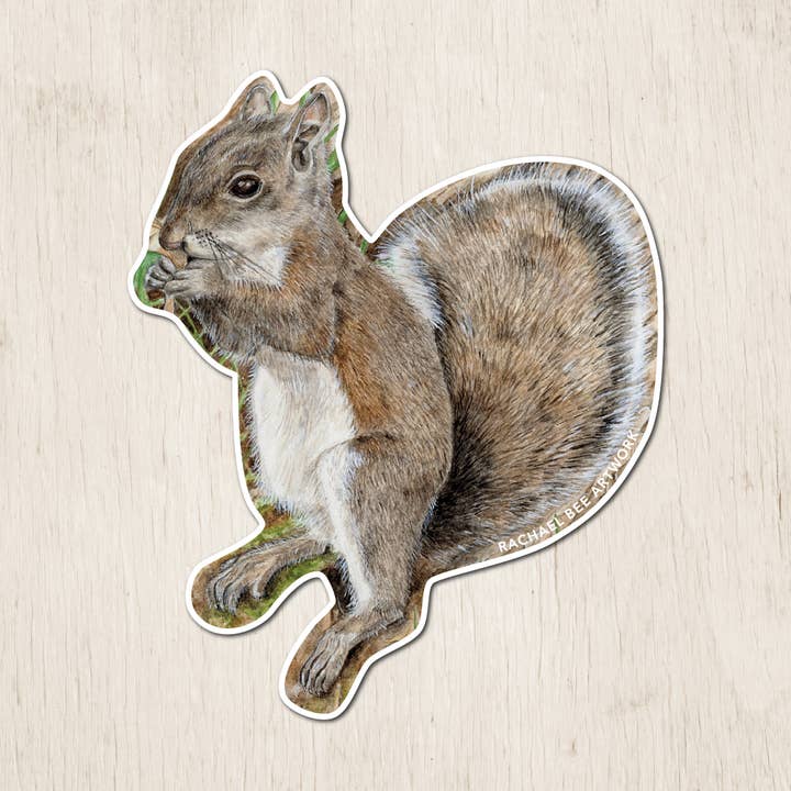 Adesivo scoiattolo per la vendita all'ingrosso da parte di Rachael Bee Artwork