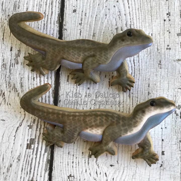 Summitbaking - Vente Emporte-pièce - Palm Pets Ensemble d'emporte-pièces Reptile5