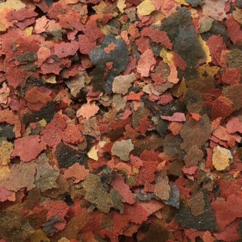 Croci - Wholesale Pet Food - Dog - Fish food - Pro Flake Feed - Amtra1