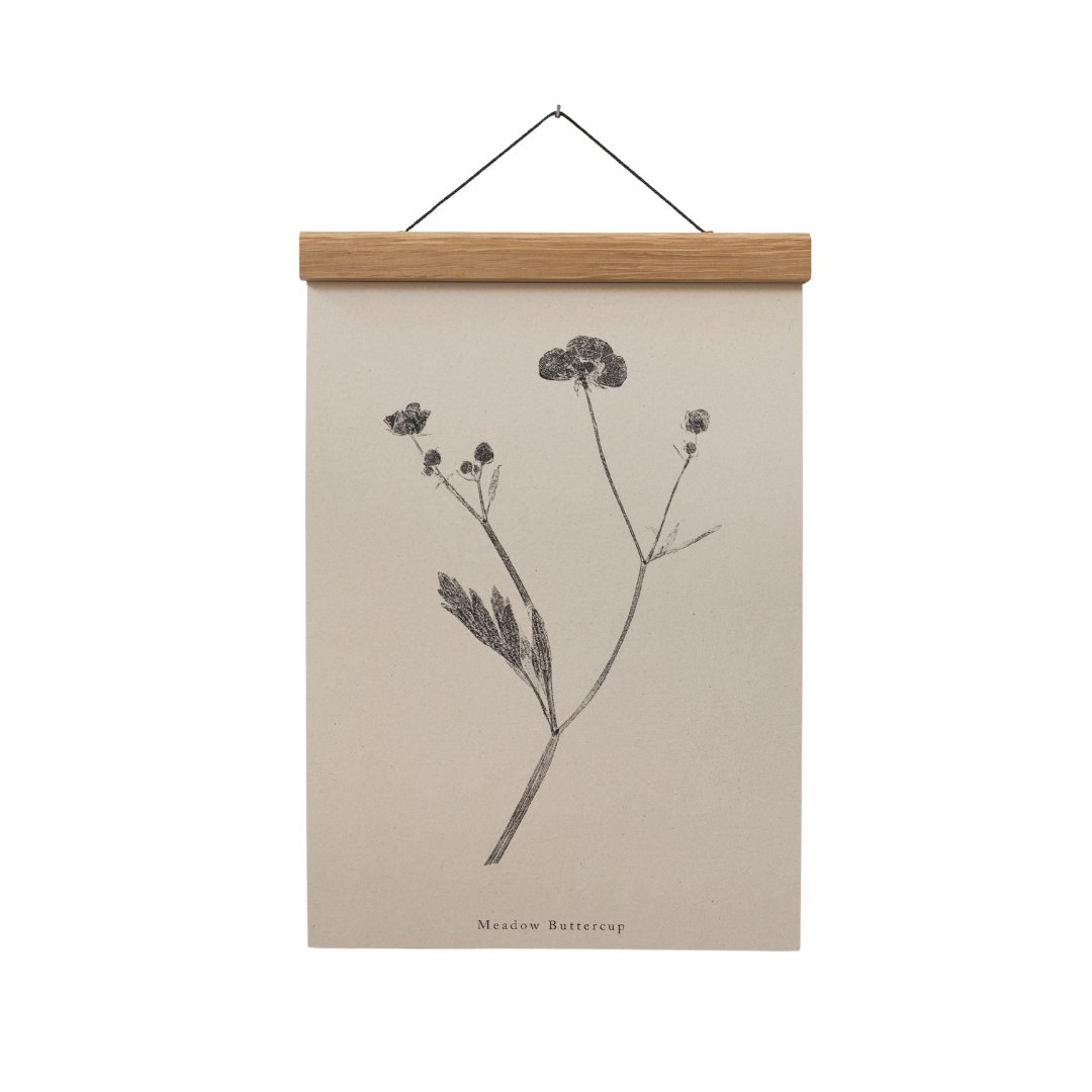 Alicia Breakspear - Wholesale Art Print - Botanical Art Print A5 A4 A3 Meadow Buttercup Flower 3