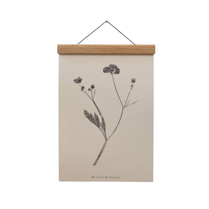 Botanical Art Print A5 A4 A3 Meadow Buttercup Flower for wholesale by Alicia Breakspear