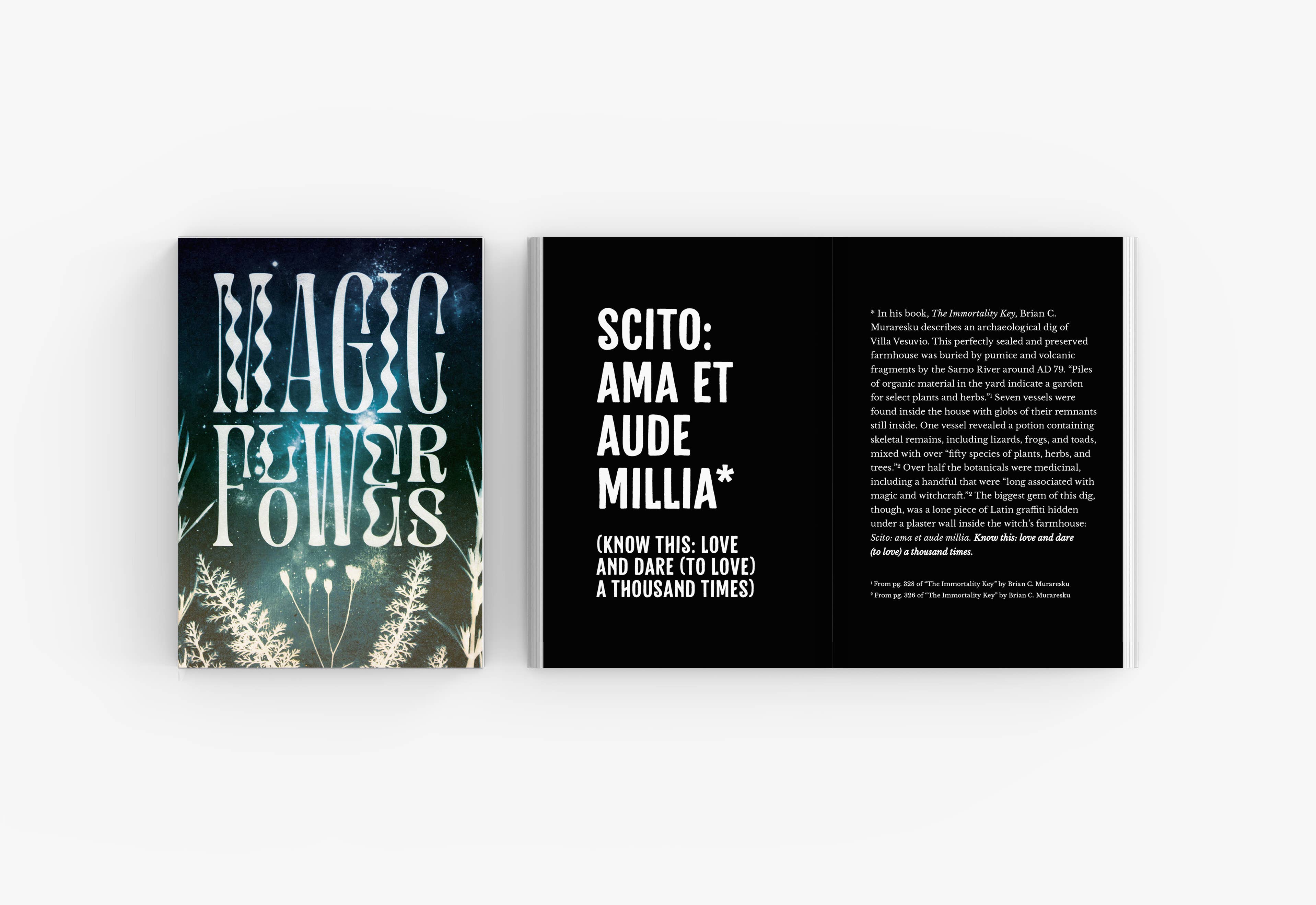 Velvetback - Wholesale Body, Mind & Spirit - Magic Flowers - Softcover Full Color Book and Bookmark8