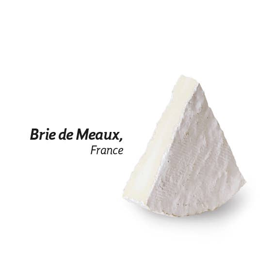 Lady Joseph – Großhandel Cracker – Dattel-Walnuss-Brot in Portionspackungen7