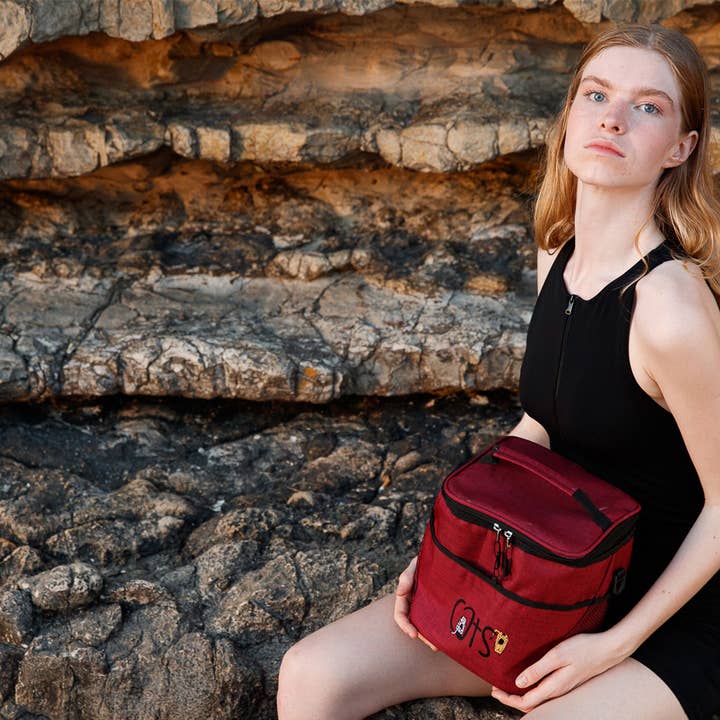 Biggbrands - Wholesale Lunch Bag/Box - Biggdesign Cats Insulated Lunch Bag, Claret Red5