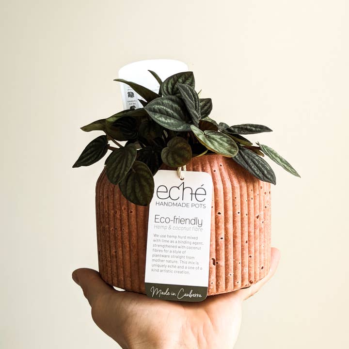 Eché pots - Wholesale Plant pot - Hemp & Coconut fibre Rib Pot - Handcrafted in Australia2