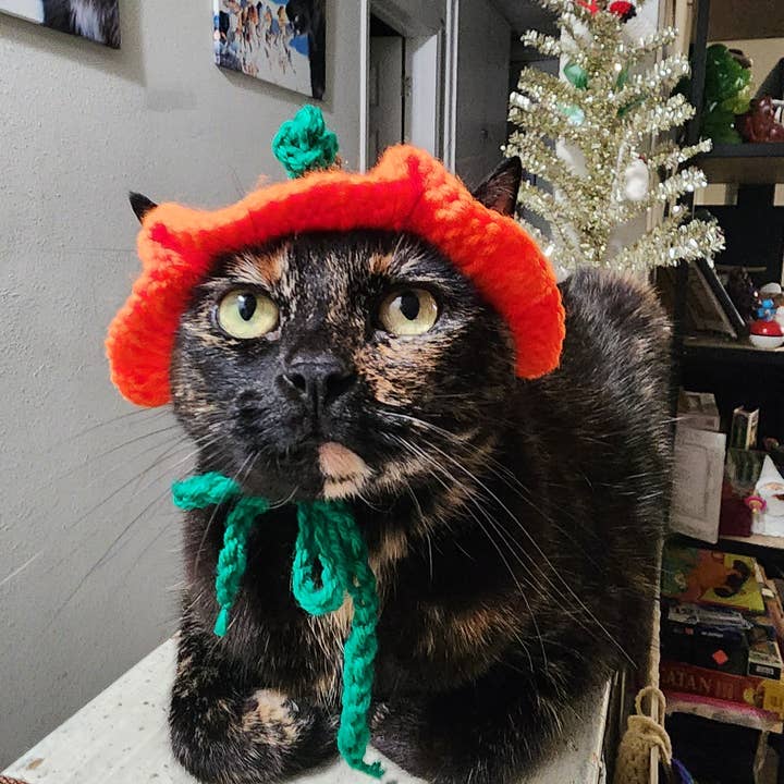 A Creative Wonderland - Wholesale Pet Costume - Cat/Dog - Pumpkin Hat for Cats or Small Dogs