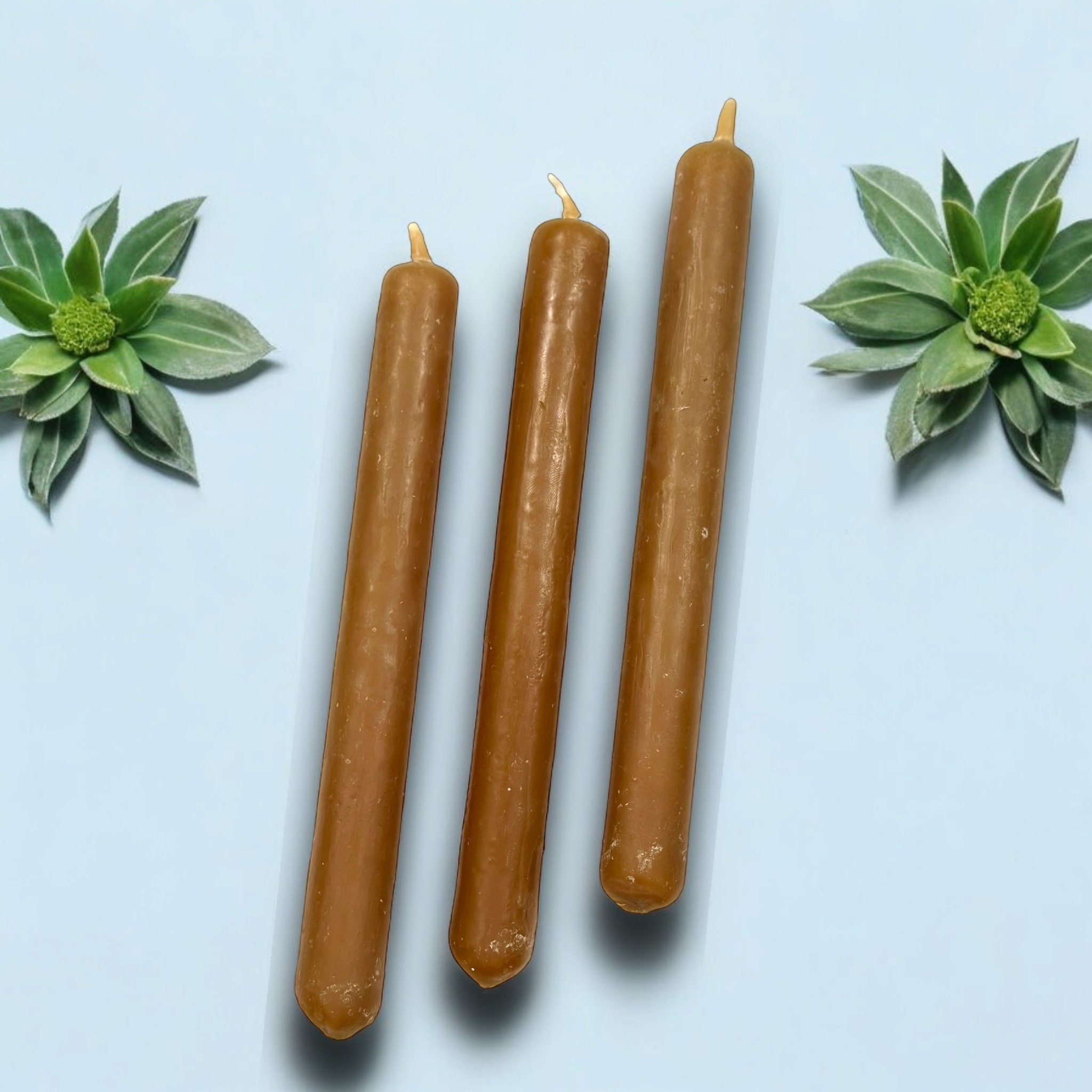 Magic Moon - Wholesale Tapered Candle/Candlestick - Honey and Thyme Candle 20cm0