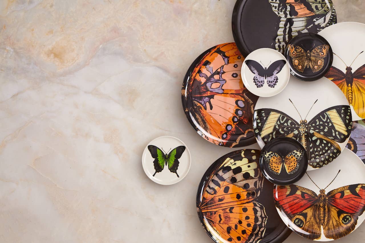 THOMASPAUL - Wholesale Onderzetters - Metamorfose onderzetters Set van 45