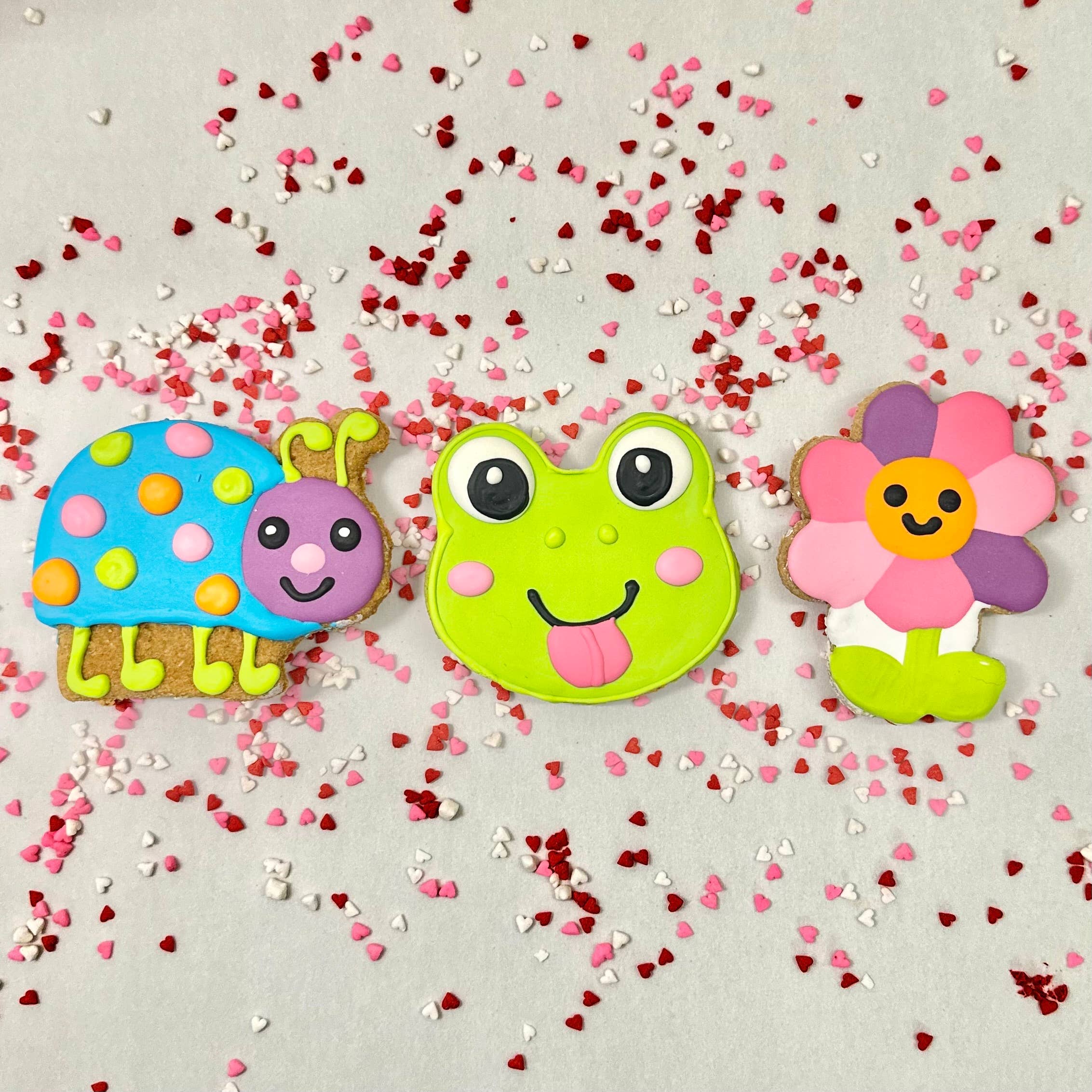 Lucky Biscuit Pet Bakery - Wholesale Pet Treats - Dog - Colorburst Spring Bloom Collection21