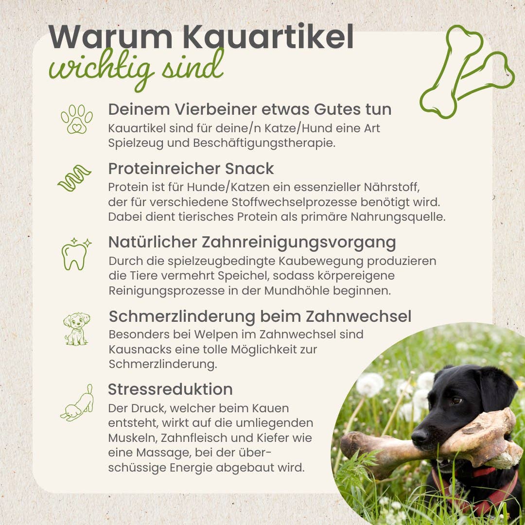 Kauartikel.com GmbH - Wholesale Pet Treats - Dog - duck sticks5