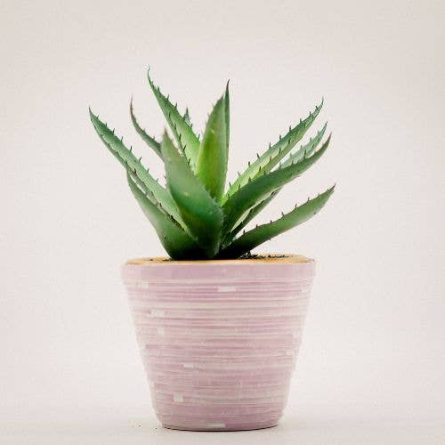 The Bead Project by TWOPU - Wholesale Plant Pot - Paper Planters2