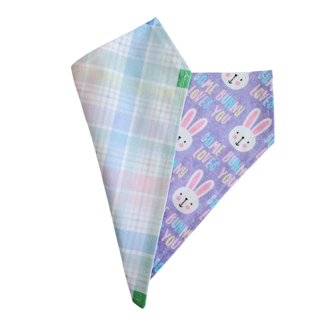 Charlie & the Hound - Wholesale Pet Bandana - Dog - Some Bunny - Reversible Dog Collar Bandana1